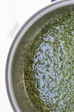 Load image into Gallery viewer, Rosemary Oil
