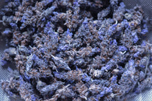Load image into Gallery viewer, Midnight Honey Lavender
