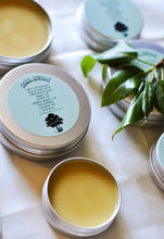 Load image into Gallery viewer, Black Cottonwood Salve
