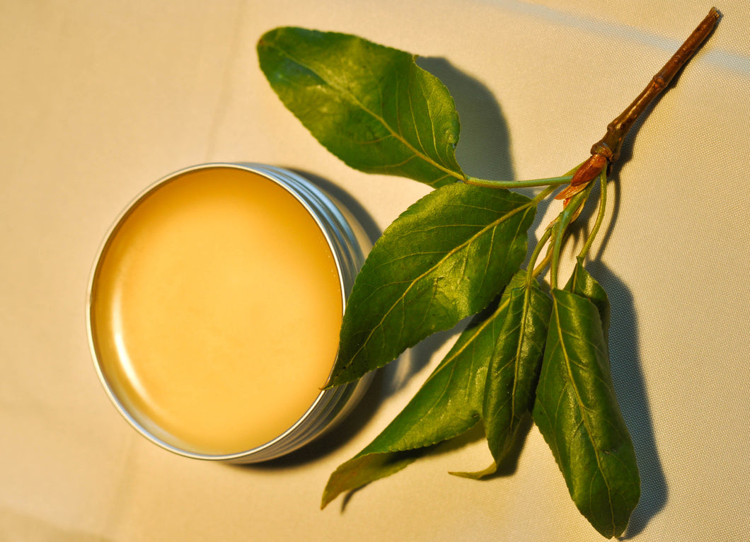 Black Cottonwood Salve